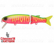 Watermelon Mat Tiger (EG-157B-SP#A230S)