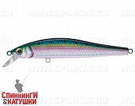 Pacific Sardine (EG-192C-SP#692-713-RP)