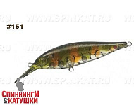 #151
