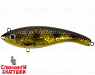 Spotted Bullhead (EG-223#C713G)