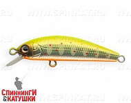 Mat Motley Trout (JS-340#A190ES)