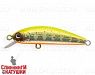 Mat Motley Trout (JS-392#A190ES)
