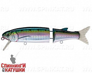Pacific Sardine (EG-157B-SP#692-713-RP)