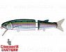 Pacific Sardine (EG-157B-SP#692-713-RP)
