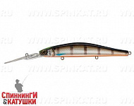 Minke Whale (EG-193BL-SP#201-264)