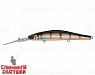 Minke Whale (EG-193BL-SP#201-264)