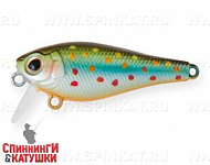 Silver Loach (JS-259B#964T)