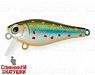 Silver Loach (JS-259B#964T)