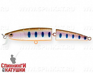 Arctic Char (EG-137J#A142-264)