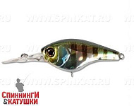 hl bluegill