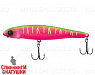 Dragon fruit mat tiger