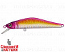 Purple Head (EG-193A-SP#287-713)