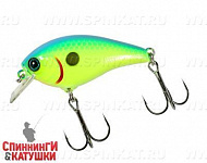 Blue back chartreuse