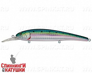 Pacific Sardine (EG-220SP#692-713-RP)