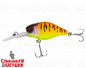 Tropical mat tiger