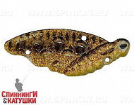 Spotted Bullhead (JG-007C#JV009F)