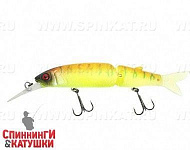 Tropical mat tiger