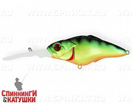 Natural Perch (EG-081A#A45T)