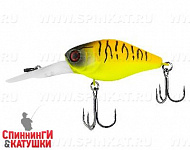 Tropical mat tiger