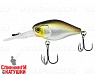 Hl mat roach