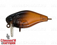Maybug (EG-164SL#GC08G)