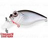 Black Back Silver (EG-041SP#A010-EP)