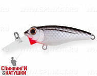 Black Back Silver (EG-073F#A010-EP)