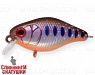 Arctic Char (EG-164F#A142-264)