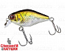 Hl shad