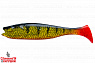 #019 Yellow Perch