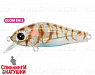 (Salt Water) L-021