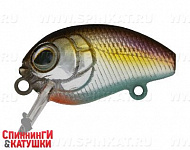 Transparent Pearlescent Fry (EG-036F#A218-GSAL-EP)