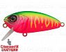 Watermelon Mat Tiger (EG-134#A230S)