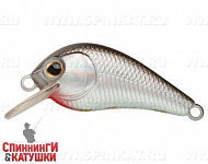 Black Back Silver (EG-184-SP#A010-EP)