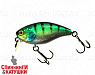 Hl Blue Gill