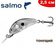 Salmo Hornet S 02.5