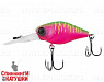 Dragon fruit mat tiger