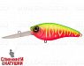 Watermelon Mat Tiger (JL-037F#A230S)