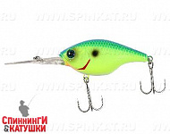 Blue back chartreuse