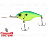 Blue back chartreuse