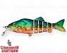 Transparent Perch (EG-066A#A102G)