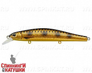 Spotted Bullhead (EG-193B-SP#JV009F)