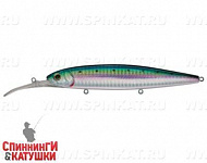 Pacific Sardine (EG-191L-SP#692-713-RP)