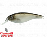 #17 Misty Shad