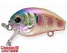 Transparent Pearl Arctic Char (EG-036F#AR152G)