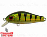 2000 European Perch