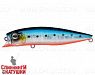 Blue Back Silver OB Fluo (EG-207#A234-SBO-LU)