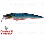 Blue Back Silver OB Fluo (EG-124B#A234-SBO-LU)