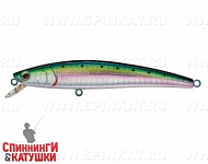 Pacific Sardine (JL-092F#692-713-RP)