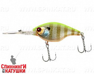 Chartreuse back blue gill